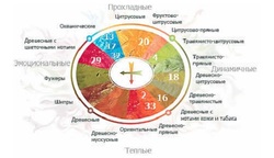 Класифікація ароматичних композицій
