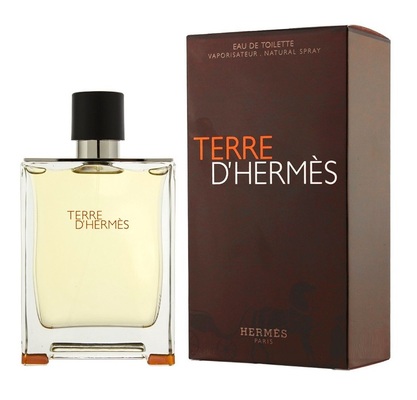 Hermes Terre D'Hermes edt m Изображение