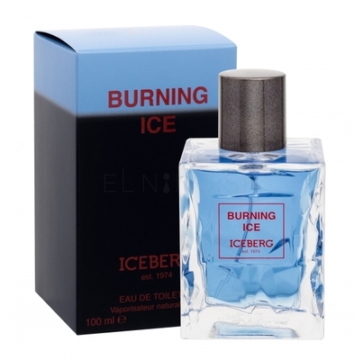 Iceberg Burning Ice edt m Изображение