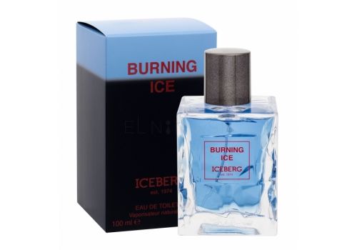 Iceberg Burning Ice edt m