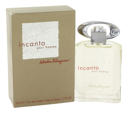 Salvatore Ferragamo Incanto Pour Homme edt m Изображение